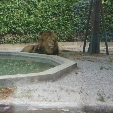 Occidente Lignano Sabbiadoro