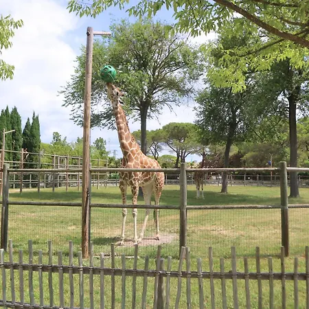 Occidente 아파트호텔 리그나노 사비아도로