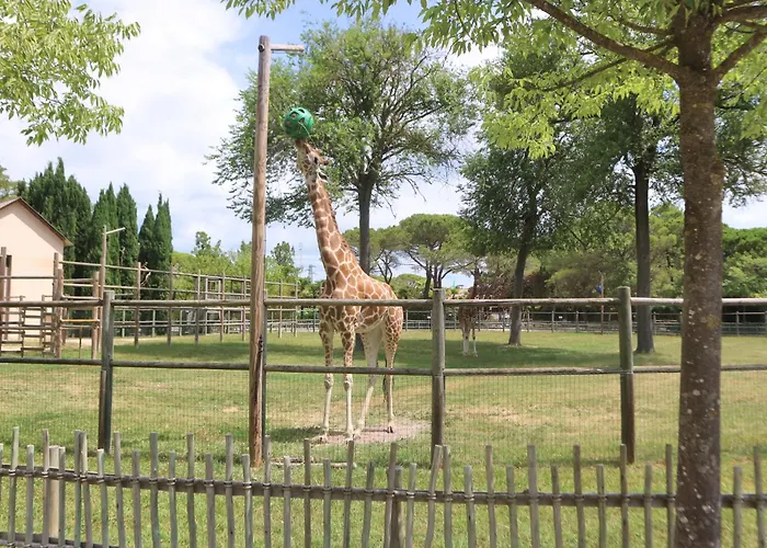 Occidente Aparthotel Lignano Sabbiadoro